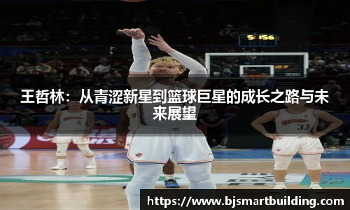 王哲林：从青涩新星到篮球巨星的成长之路与未来展望